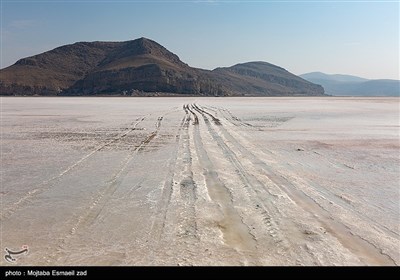 سرشماری پستانداران در جزایر پارک ملی دریاچه ارومیه