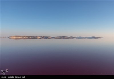 На островах озера Урмия проведена перепись дикой природы