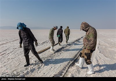 На островах озера Урмия проведена перепись дикой природы