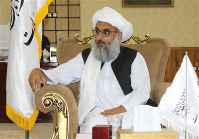 سازمان،ملل،مهاجرين،بحران،افغانستان،هرات،نهادهاي،ولايت،مهاجرت ...