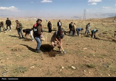 کشت گیاهان دارویی در بویراحمد