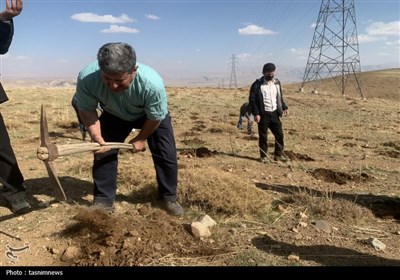 کشت گیاهان دارویی در بویراحمد