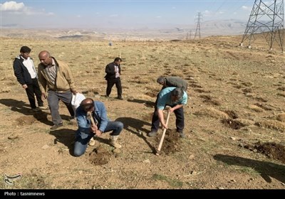 کشت گیاهان دارویی در بویراحمد