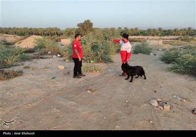 کشف جسد فرد غرقی در کانال آبیاری آبپخش دشتستان