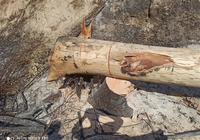 طبيعي،منابع،غيرمجاز،استان،زغال،كرمانشاه،حفاظت،اقدام،نقش،رستم ...