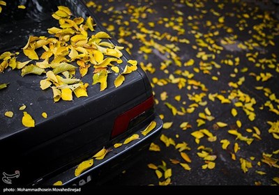 Fall Foliage Amazes Citizens in Tehran