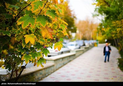 تهران پاییزی