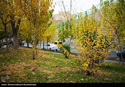 تهران پاییزی