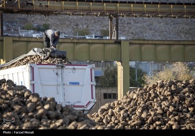 بازدید خبرنگاران از کارخانه قند بیستون