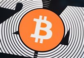 Bitcoin Hits Record High Amid Pro-Crypto Wave Following Trump&apos;s Election