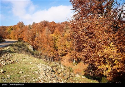 طبیعت پاییزی اشکور گیلان