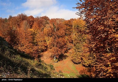 طبیعت پاییزی اشکور گیلان