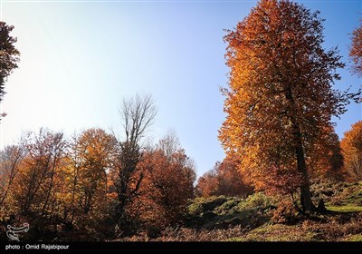 طبیعت پاییزی اشکور گیلان