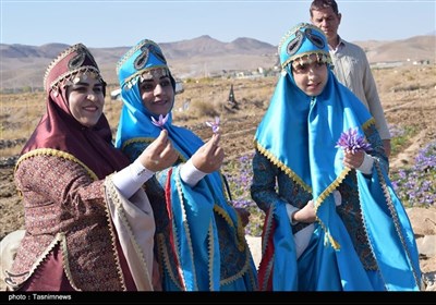 ششمین جشنواره زعفران بهاباد؛ گامی برای برندسازی طلای سرخ