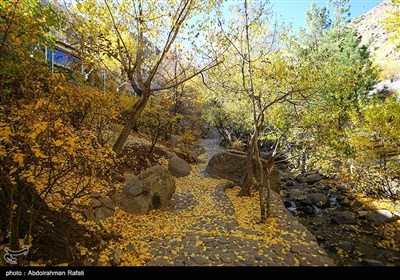 طبیعت پاییزی گنجنامه همدان