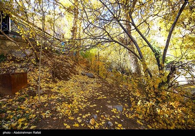 طبیعت پاییزی گنجنامه همدان