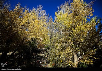 طبیعت پاییزی گنجنامه همدان