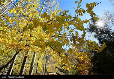 طبیعت پاییزی گنجنامه همدان