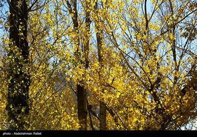 طبیعت پاییزی گنجنامه همدان