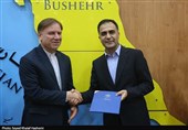 معرفی معاون جدید استاندار بوشهر