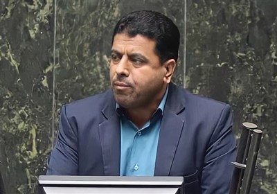 بهزيستي،مجلس،سازمان،كابينه،آموزش،ميدري،پزشكيان،امامي،راد،وزر ...