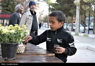 فعالیت موکب علویون به مناسبت ایام فاطمیه(س) در کرمان