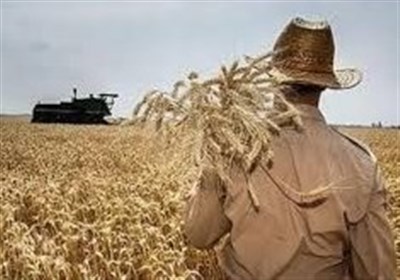 طرح،استان،ترويج،كشاورزي،ديم،اردبيل،نمايشگاه،اجراي،توليد،صحرا ...