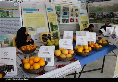 نمایشگاه دستاوردهای پژوهش و فناوری کرمان