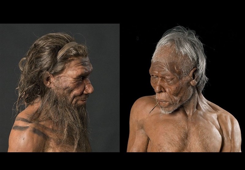 Ancient Genes Pinpoint When Humans, Neanderthals Mixed