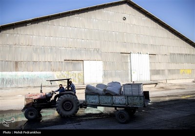 بازدید خبرنگاران از کشت و صنعت نیشکر هفت تپه