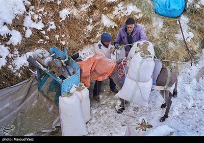 بارش برف در روستای لیقوان - تبریز