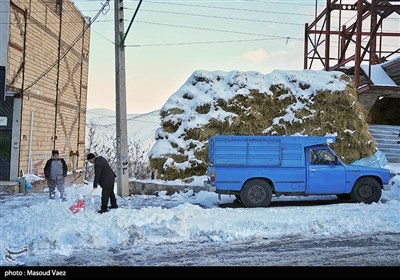 بارش برف در روستای لیقوان - تبریز