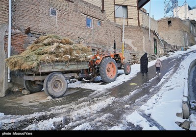 بارش برف در روستای لیقوان - تبریز