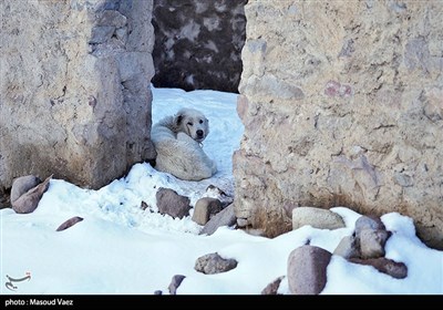 بارش برف در روستای لیقوان - تبریز