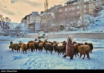 بارش برف در روستای لیقوان - تبریز