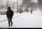 بارش برف در اردبیل و زنجان