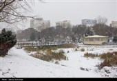 بارش برف در اردبیل و زنجان