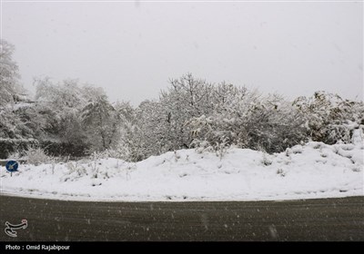 بارش برف در اشکورات گیلان