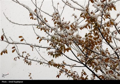 بارش برف در اشکورات گیلان