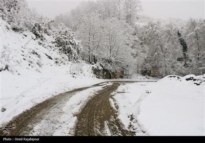 بارش برف در اشکورات گیلان