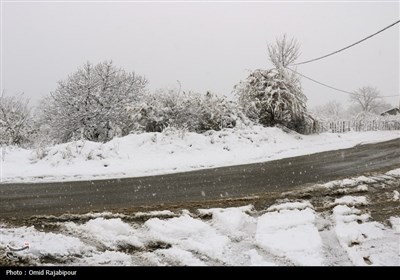 سامانه،استان،برف،جبهه،ارتفاعات،بارش،موج