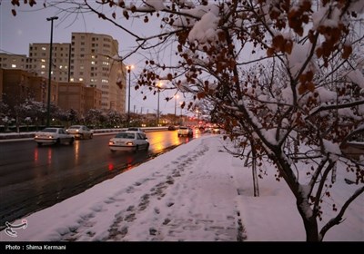 بارش برف در زنجان موجب خوشحالی مردم شد