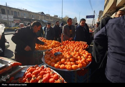 گشت مشترک سازمان تعزیرات حکومتی همدان در آستانه شب یلدا