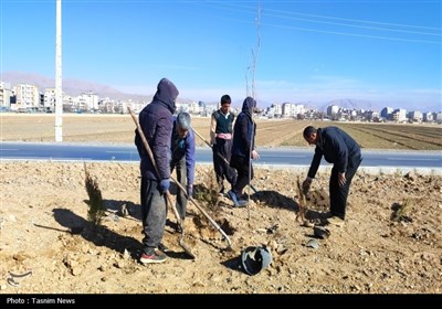 آغاز درخت‌کاری انبوه در شهرکرد