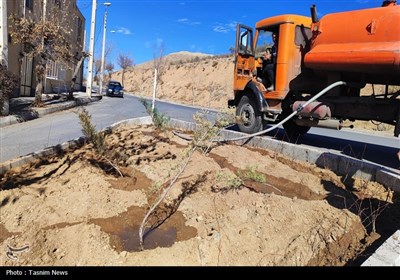 آغاز درخت‌کاری انبوه در شهرکرد