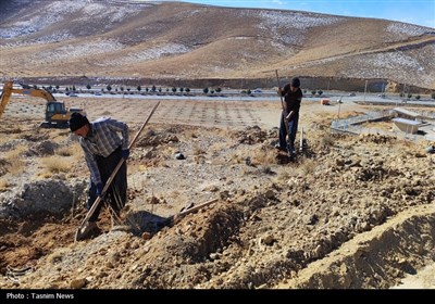 آغاز درخت‌کاری انبوه در شهرکرد