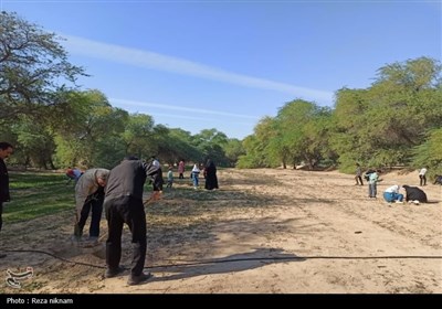  برگزاری پویش درختکاری در سایه مادر در بوشهر