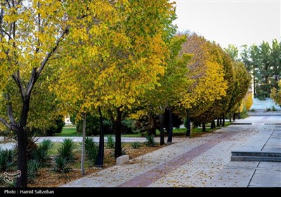 پاییز در دانشگاه بیرجند