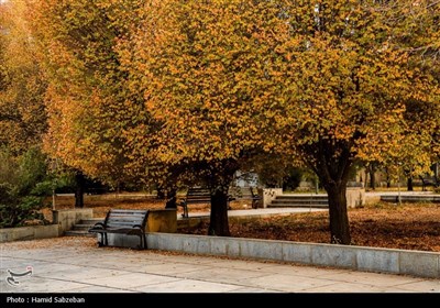 پاییز در دانشگاه بیرجند