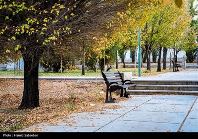 پاییز در دانشگاه بیرجند